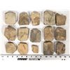Image 2 : Trilobites, 4 Pounds [194177]