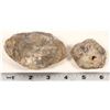 Image 2 : Dinosaur Egg Casts, 2 [194634]