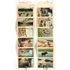 Image 2 : Colorado & Yellowstone Postcard/Ephemera Group [195060]