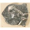 Image 2 : Upstate New York Exonumia (5) [195673]