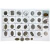 Image 2 : Fob Collection (31) [195809]