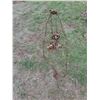 Image 1 : Antique Chain Fall with (2) Runner Pulleys