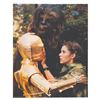 Image 8 : A Collection of Jumbo "Return of the Jedi" Lobby Cards.