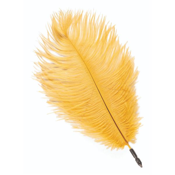 A Harry Potter Prop Quill.