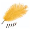Image 1 : A Harry Potter Quill Prop with Five Nibs.
