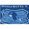 Image 2 : A Wossamotta U. All Stars Blanket.