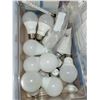Image 2 : Flat of Various New and Opened Light Bulbs