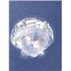 Image 2 : In Box swarovski Scallop Shell Model A 9100 NR 000 024
