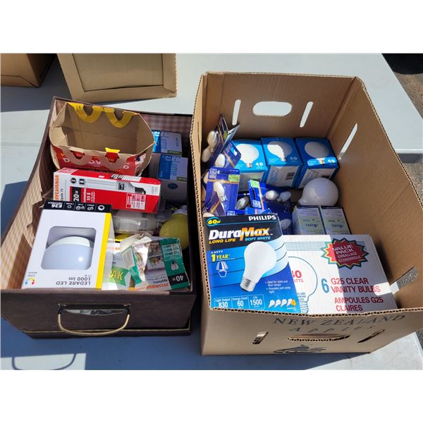 Massive Lot of Various Light Bulbs