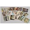 Image 2 : Louisiana Postcards Approx. 180