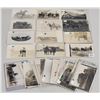 Image 1 : Animals - Real Photo Horse Postcards 31