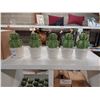 Image 3 : LOT DE 160+ ARTICLES DE DÉCO (CACTUS) DIVERS (VALEUR DÉTAIL: 1200+$)