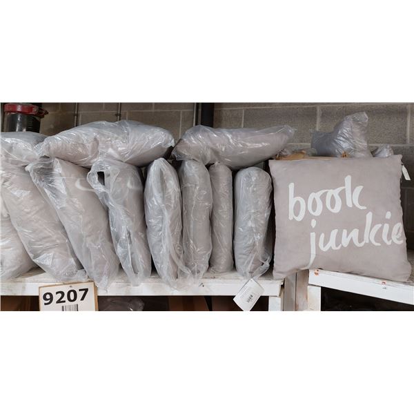 LOT DE 18 COUSSINS (VALEUR DE 320+$)