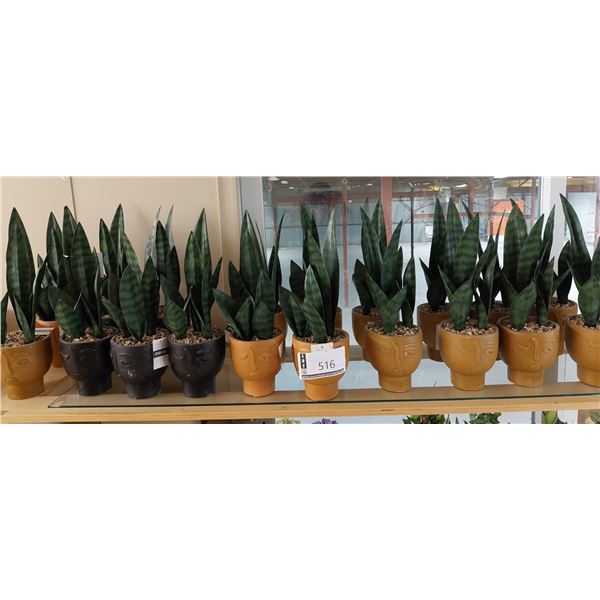 LOT DE 19  PLANTES VERTE AVEC POT (VALEUR DE 275+$)