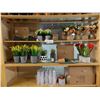 Image 1 : LOT DE 28 PLANTES AVEC POTS ASS. PLUS POTS DE PIERRE (VALEUR DE 200+$)