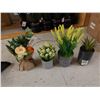 Image 2 : LOT DE 28 PLANTES AVEC POTS ASS. PLUS POTS DE PIERRE (VALEUR DE 200+$)