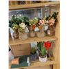 Image 3 : LOT DE 28 PLANTES AVEC POTS ASS. PLUS POTS DE PIERRE (VALEUR DE 200+$)