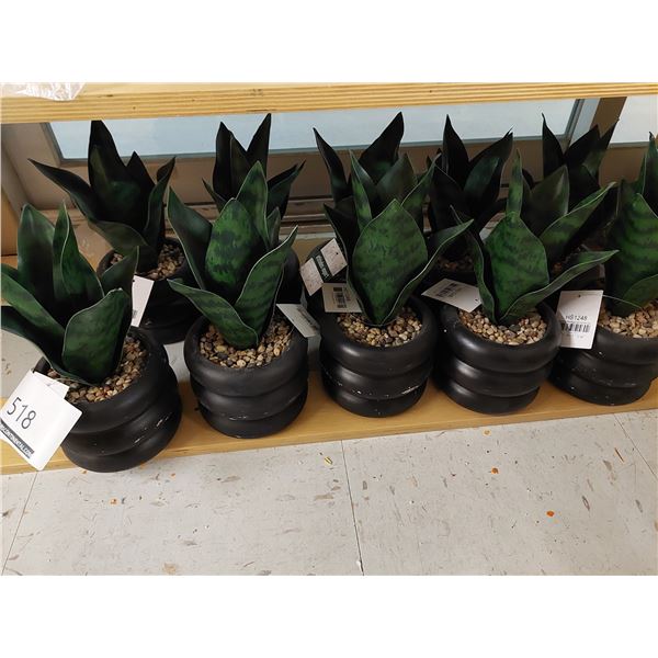 LOT DE 11 PLANTES AVEC POTS (VALEUR DE 150+$)