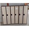 Image 2 : LOT DE 3 VESTIAIRE 2 PORTES