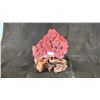 Image 1 : RED CORAL SPECIMEN
