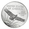 Image 2 : 2018 US 1oz Platinum Eagle SUPERB GEM BU