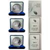 Image 1 : 2013-2018 GEM PROOF US Silver Eagle Lot [3 Coins]
