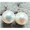 Image 1 : 14K WHITE GOLD FRESH WATER PEARL AND LAB DIAMOND 0.03CT  EARRINGS, SUGGESTED RETAIL $450