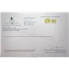 Image 1 : 11.9 CT CERTIFIED PERIDOT GEMSTONE PAIR ($8,570 APPRAISAL) -