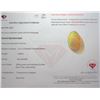 Image 1 : 2.06 CT CERTIFIED OPAL GEMSTONE ($20,600 APPRAISAL) -