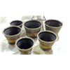 Image 8 : PLANTERS AND IRRIGATION SYSTEMS