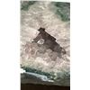 Image 3 : 8" X 8" AMETHYST GEODE WITH GREEN AGATE LISTED RETAIL $2200