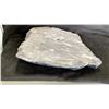 Image 3 : 11" X 12" X 11" ORTHOCERAS FOSSIL LISTED RETAIL $2200