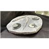 Image 2 : 13.5" X 12" ORTHOCERAS FOSSIL SLAB LISTED RETAIL $2200