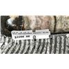 Image 3 : 13.5" X 12" ORTHOCERAS FOSSIL SLAB LISTED RETAIL $2200