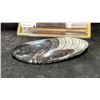 Image 2 : ORTHOCERAS LISTED RETAIL $600