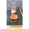 Image 2 : AGATE LISTED RETAIL $180