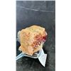 Image 2 : HIGH GRADE VANADINITE SPECIMEN LISTED RETAIL $380