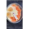 Image 2 : JASMINE CANDLE