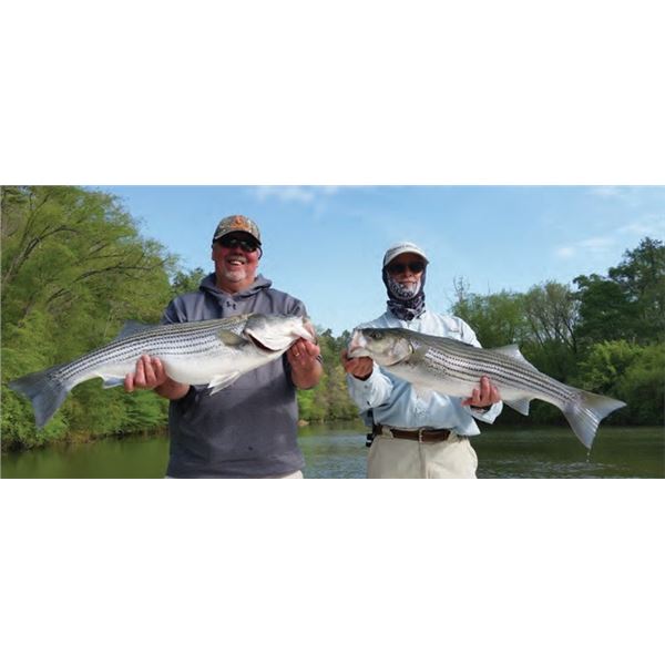 4-Hour Striper Fishing Trip  for Four People with The Striper Experience