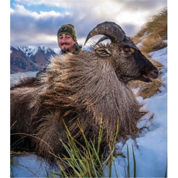 Tahr & Chamois Hunt at Venator New Zealand
