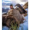 Image 1 : Tahr & Chamois Hunt at Venator New Zealand