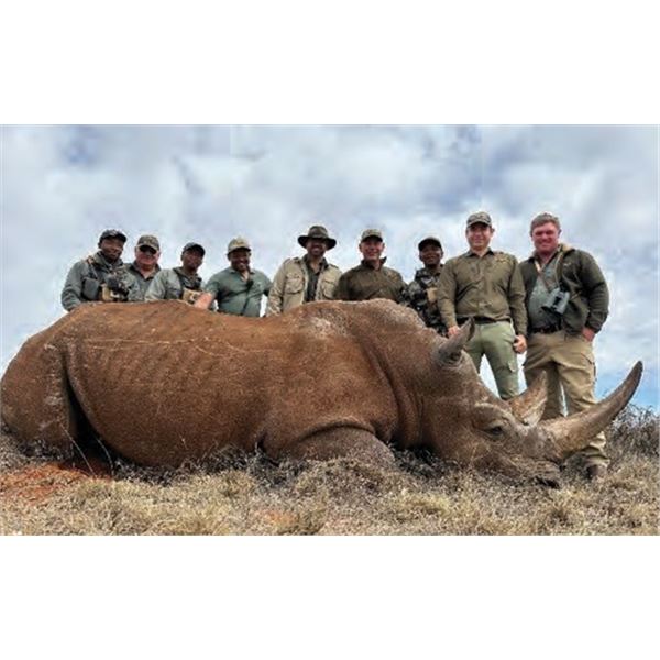 5-Day Rhino Darting Experience