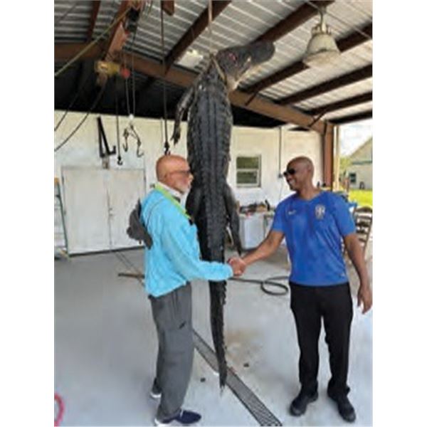 Alligator Hunt in Central Florida