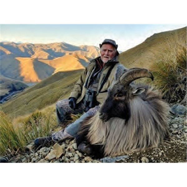 New Zealand Tahr Hunt