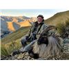 Image 1 : New Zealand Tahr Hunt