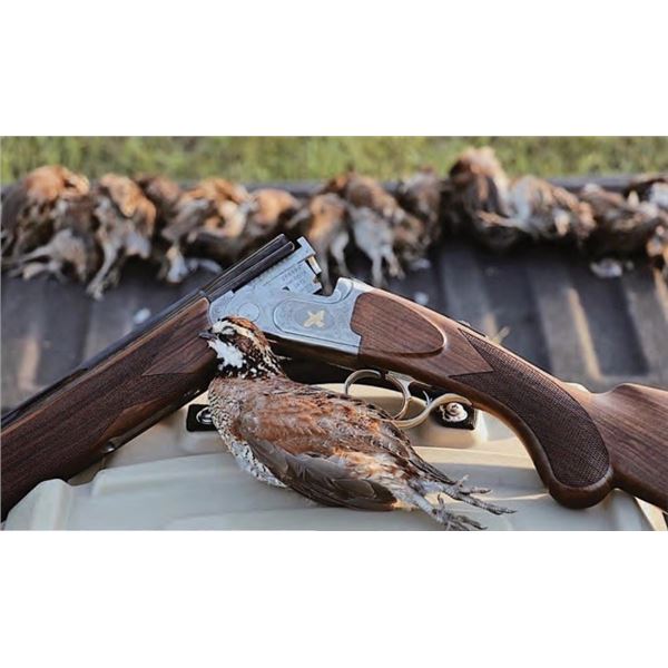 Kevins Golden Quail 20-28 Gauge O/U Two Barrel Set