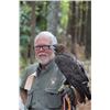 Image 1 : Falconry Experience