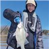 Image 1 : The Striper Experience – 4-Hour Striper YOUTH Fishing Trip (must have at least two youth)
