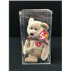 Image 1 : ENCASED 1999 SIGNATURE BEAR BEANIE BABY WITH TAGS