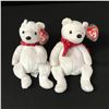 Image 1 : LOT OF 2 BEANIE BABIES
